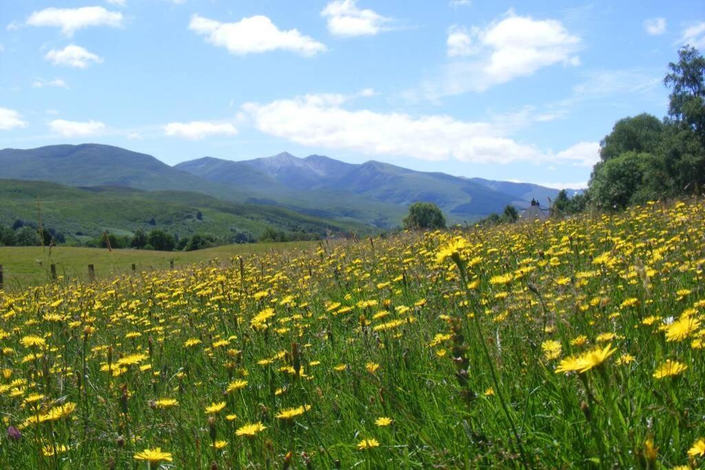 Cul Darach Lodge, Glen Roy Nature Reserve 罗伊桥 外观 照片